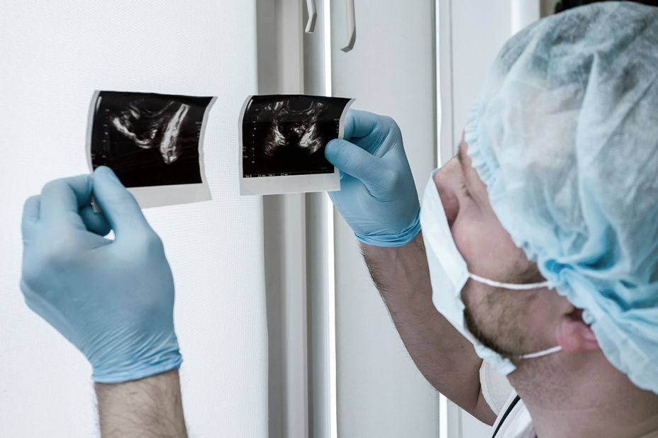    Shutterstock/FOTODOM