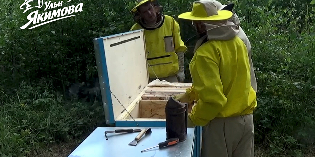 Ограничения и максимальный доход с бизнеса в пчеловодстве с ульями-лежаками Якимова