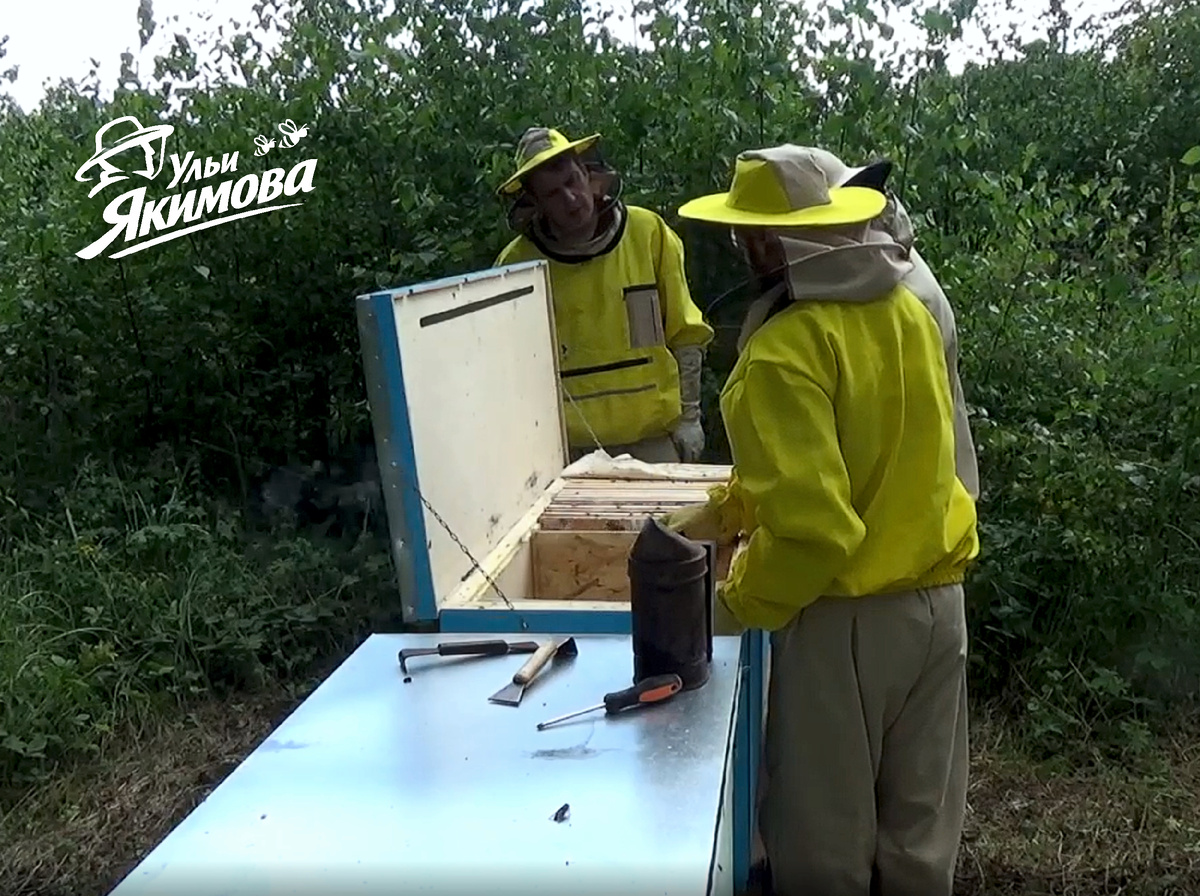Пасека под ключ с Андреем Якимовым