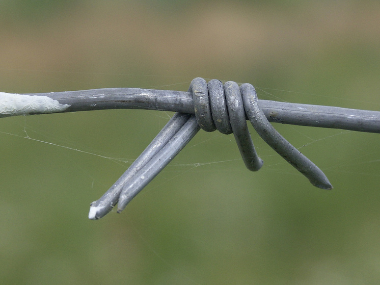   Сергей Иванов