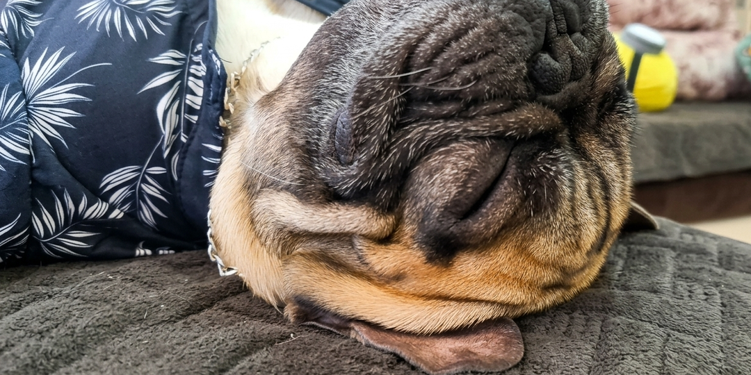 Режим «Энергосбережение» активирован