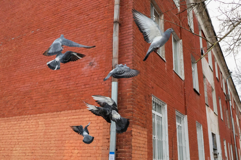    Алексей Белкин/NEWS.ru