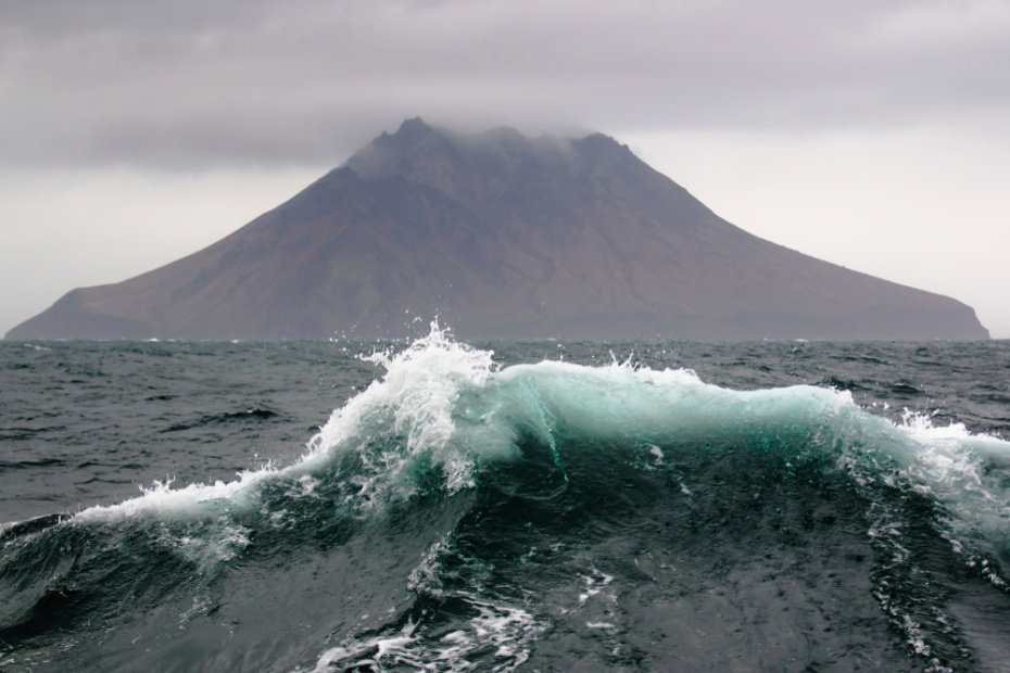    Shutterstock/FOTODOM