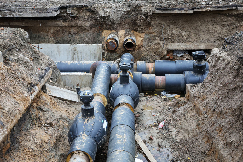    Алексей Белкин/NEWS.ru