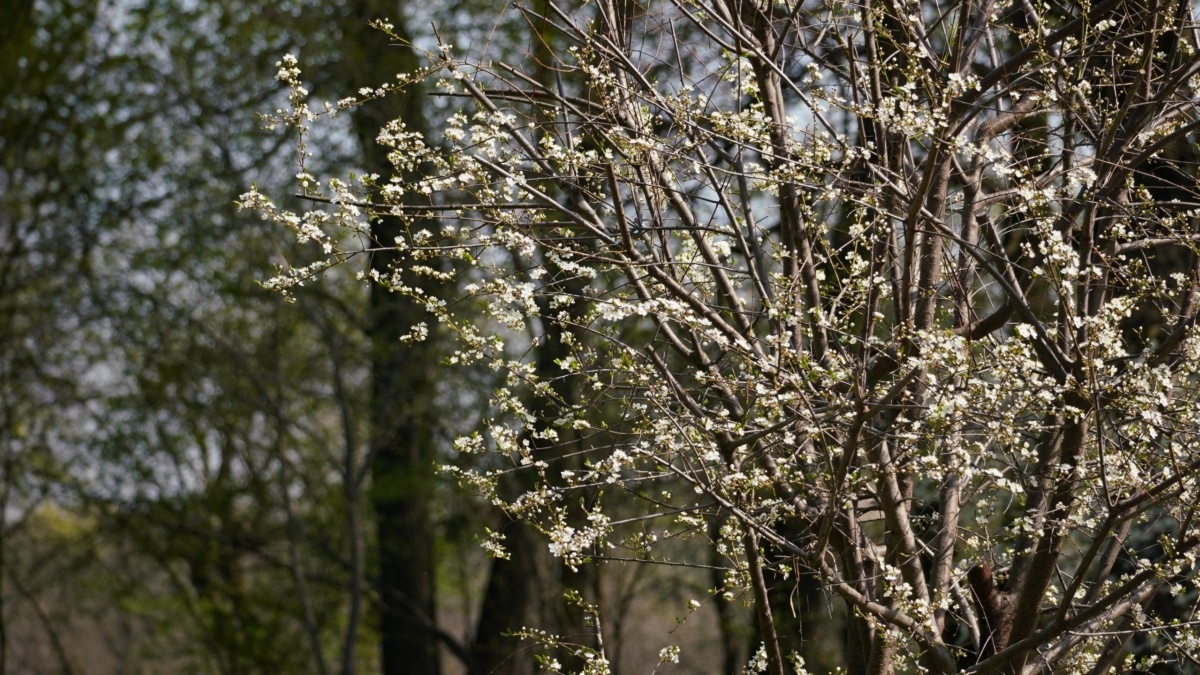 Светлана Мулыкина📷
