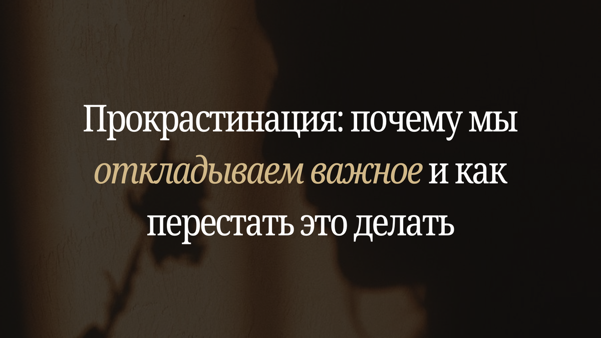 Автор: Светлана Синтяева, предприниматель, мотивационный спикер, автор системы «Живи на 360»