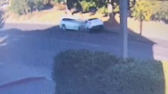 Фото: ОПСС Курской области
