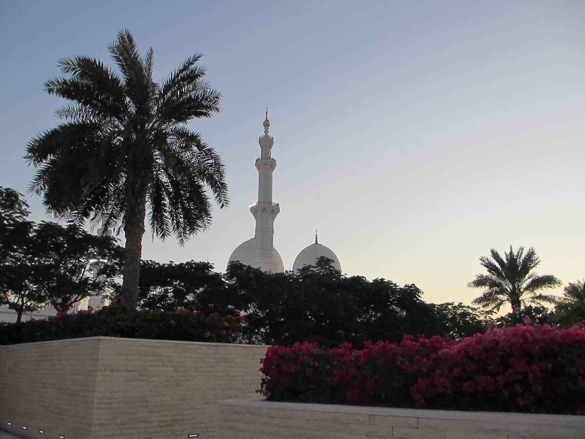 Фотографии, сделанные автором поста 