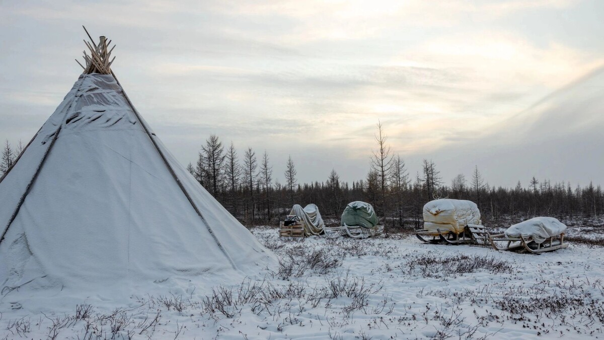    Фото: Федор Воронов/«Ямал-Медиа»