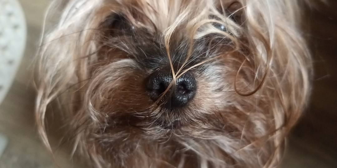 В отпуске я), в отпуске.