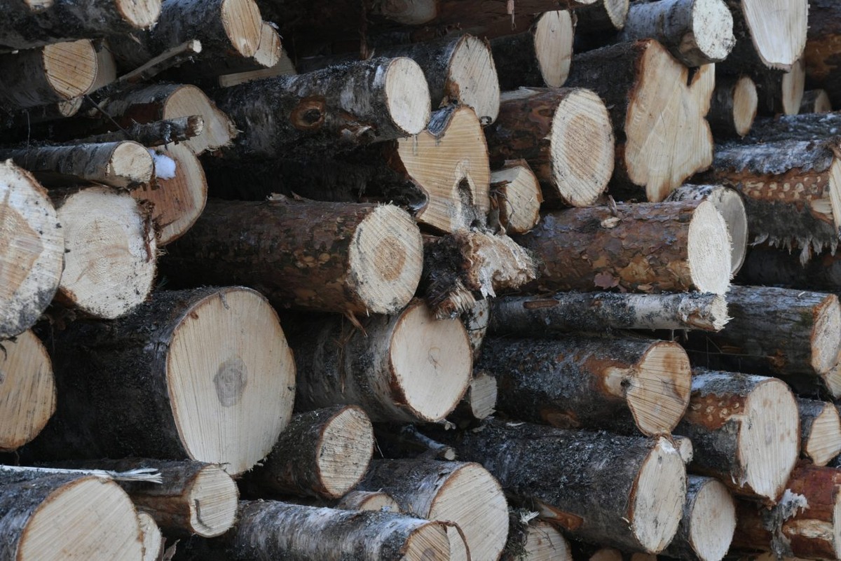    Фото: "Республика"/ Сергей Юдин