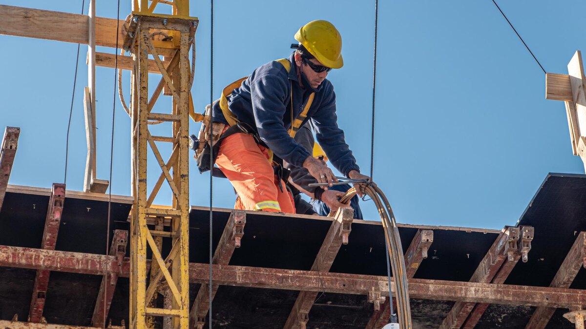    Фото: pexels.com