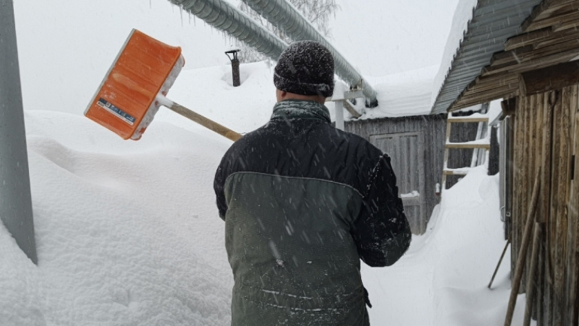    Фото newtambov.ru