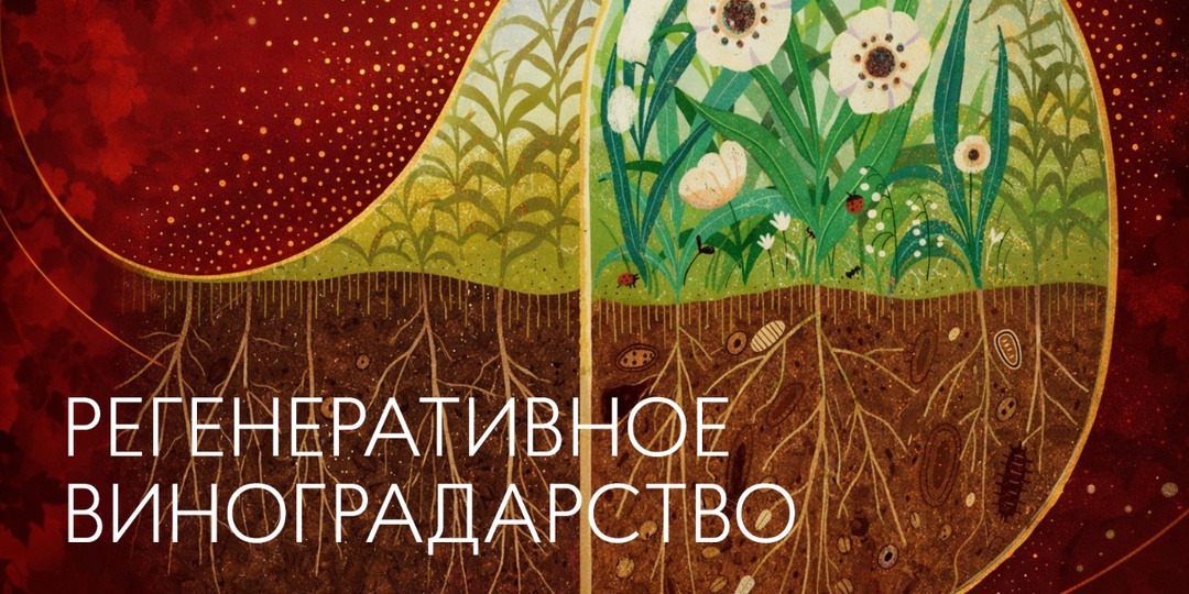 Регенеративное сельское хозяйство (или виноградарство).