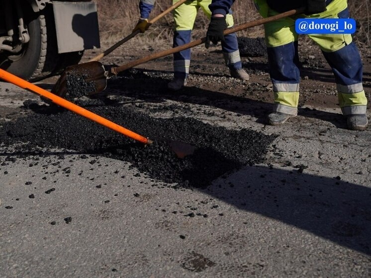     Фото: Комитет дорожного хозяйства Ленинградской области.
