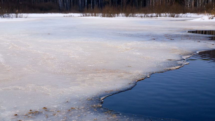    Фото: ИЗВЕСТИЯ/Полина Фиолет