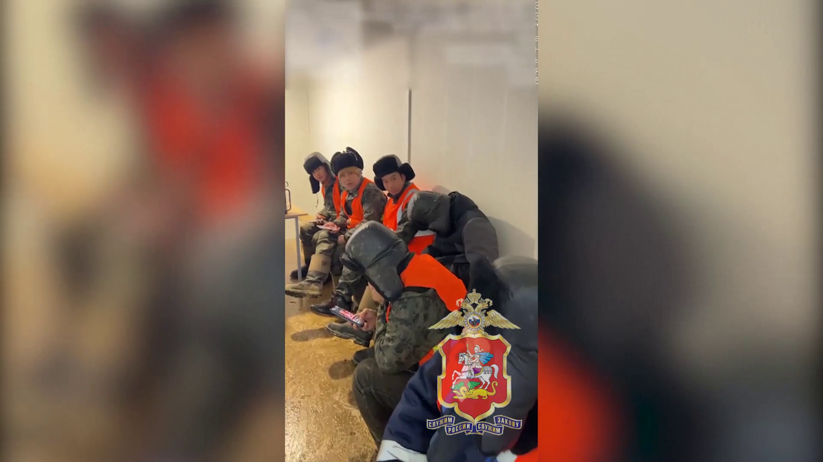    Из России выдворили 24 мигранта, незаконно работавших в Подмосковье