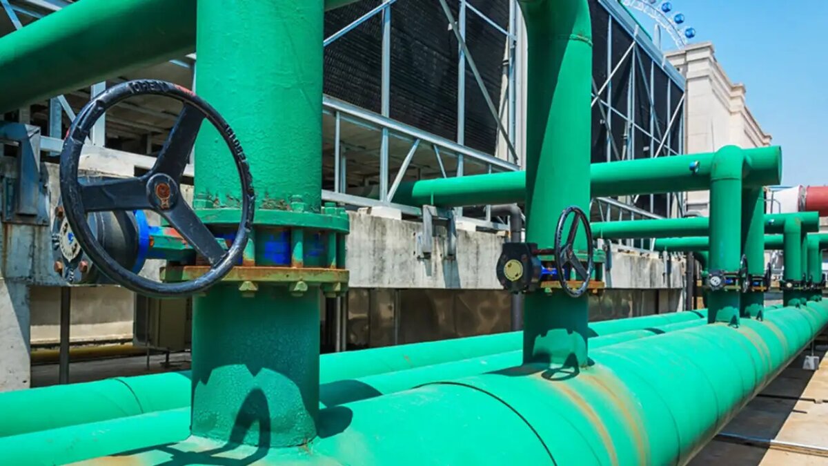     © freepik.com/evening_tao