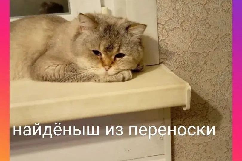 🦋КРАСОТА СПАСАЕТ МИР! А КТО СПАСЁТ КРАСОТУ?😿💔
