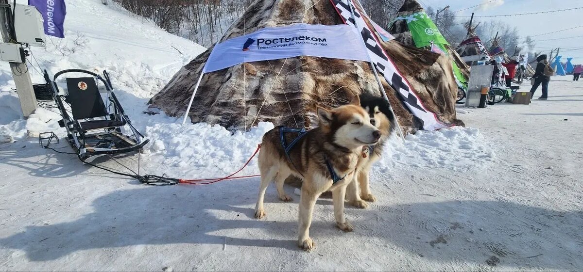    Источник изображения: ItRussia.Media