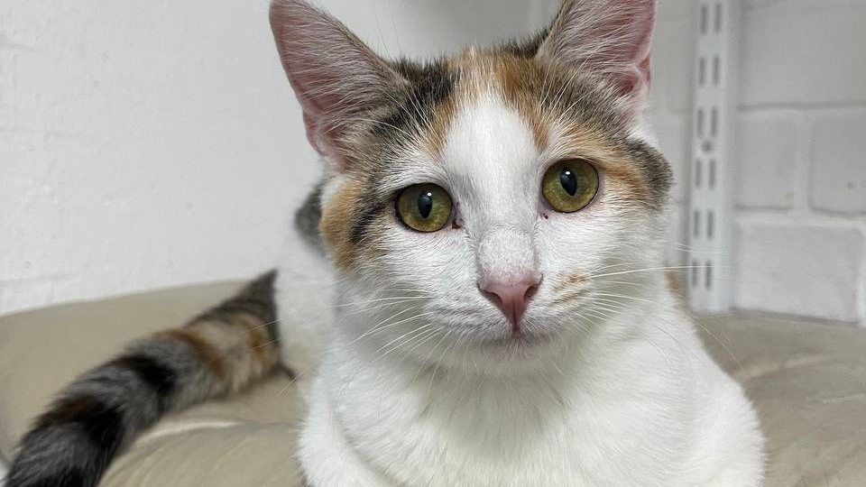 Почему-то решение о том, кому жить, а кому умирать неминуемо упирается в денежный вопрос..