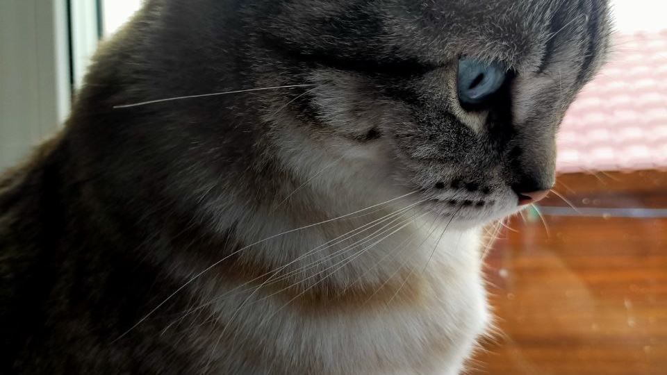 Из подслушанного...