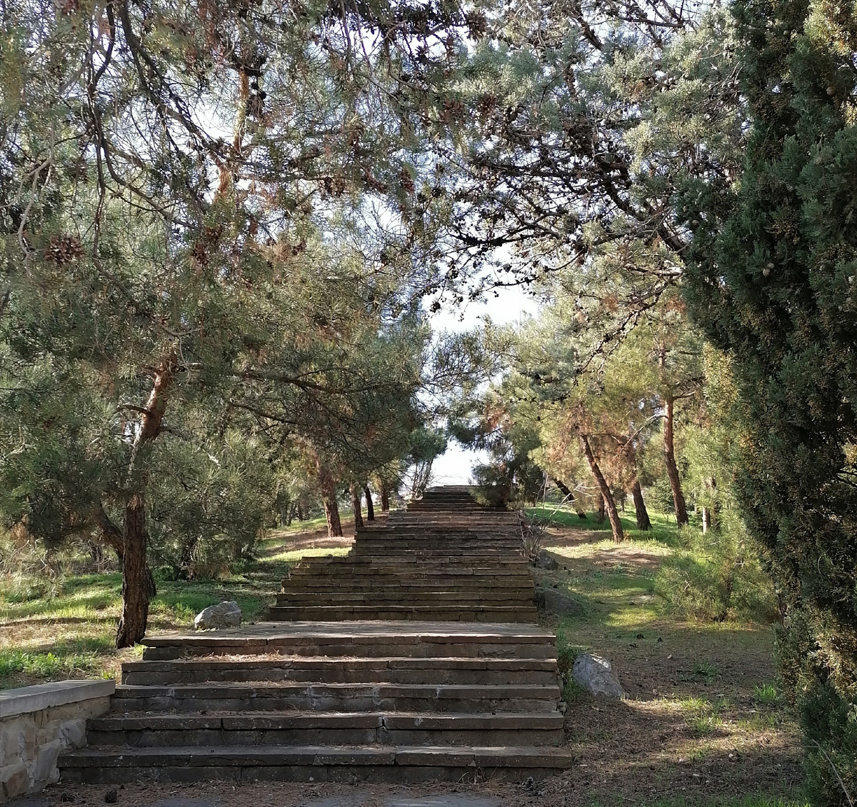 Не боимся взбираться по лестнице познания себя и мира, а если оступимся, то поднимаемся и идем дальше. 