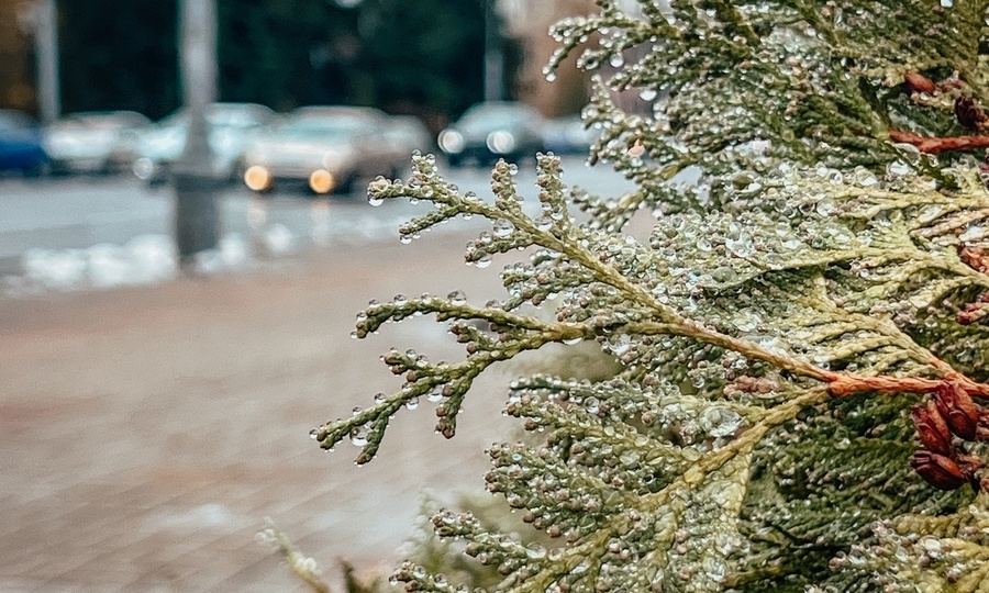 Жителей Курской области предупреждают о дождях и мокром снеге