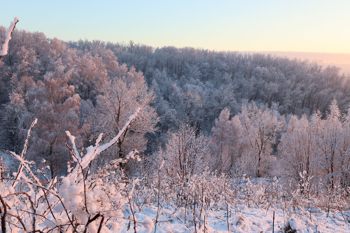 Психолог считает, что за идеальным фасадом семейной пары могли скрываться серьезные внутренние противоречия.  Фото: ФедералПресс / Вера Романескул