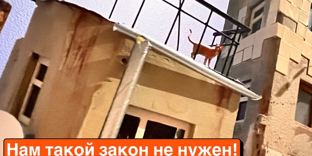 Мерзавцы будут закрывать лица и ржать на скамьях подсудимых, а мы - называть их «господами»: нам такой закон не нужен