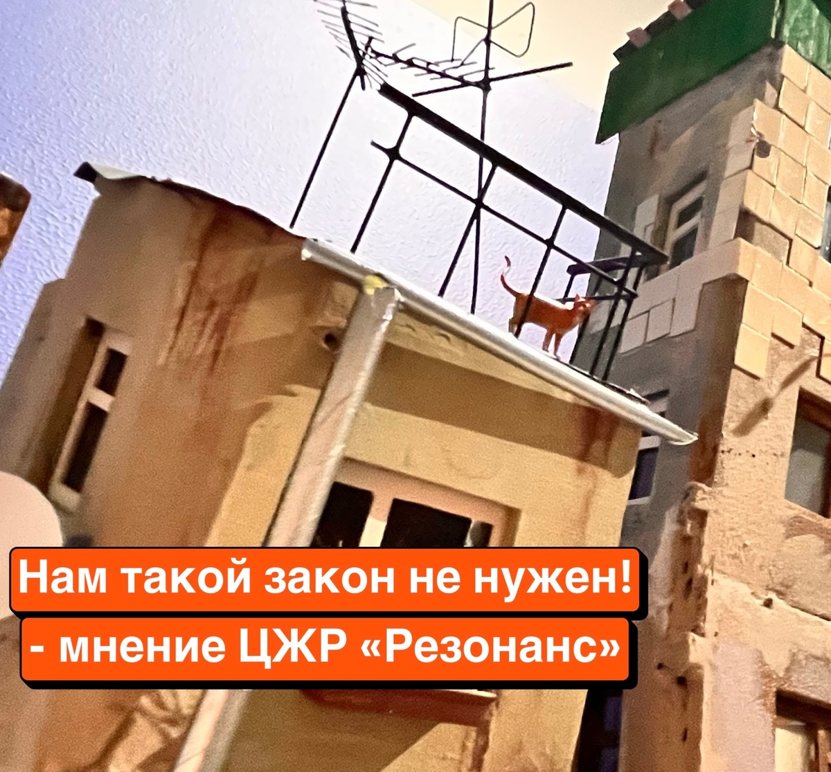 Иллюстрация: СЗИЦ "Человеки и закон" - ЦЖР "Резонанс"