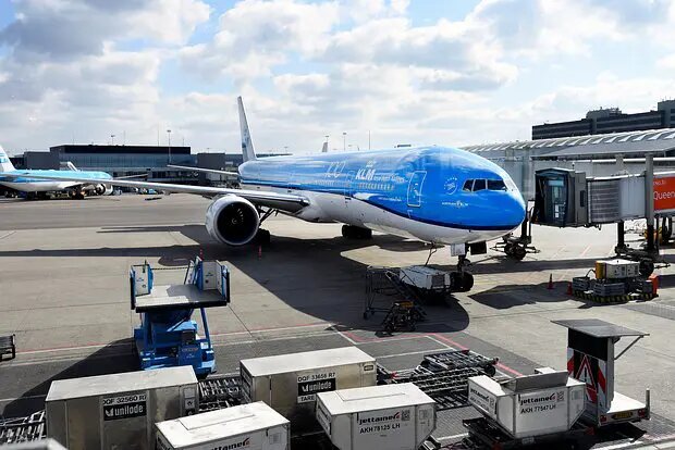    Источник: lenta.ru/ Оксана