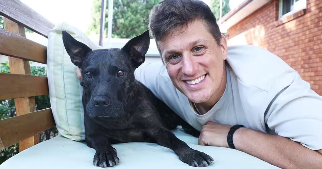 ИИ помог создать вакцину от рака для собаки – будущее ветеринарии уже наступило?