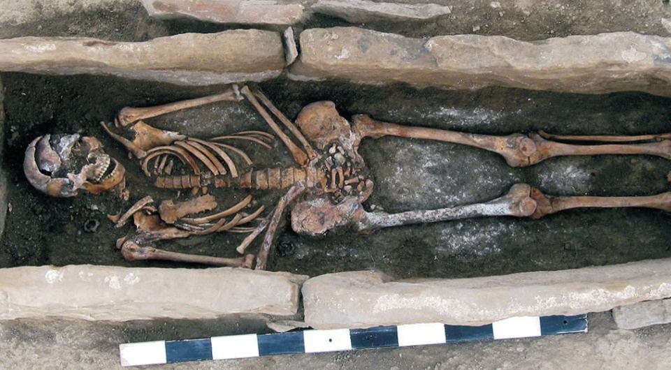   Igor Kornienko et al. / Human Genetics, 2026