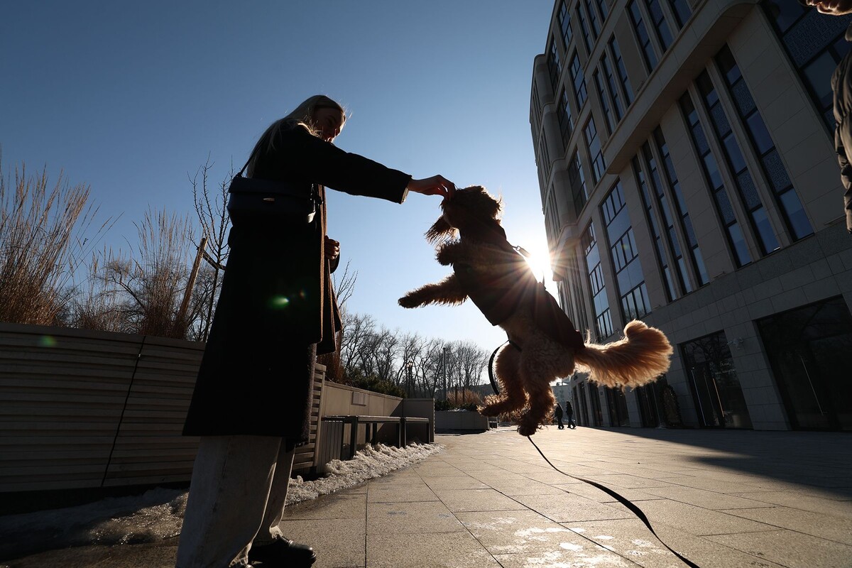  © Павел Орловский, Times.by