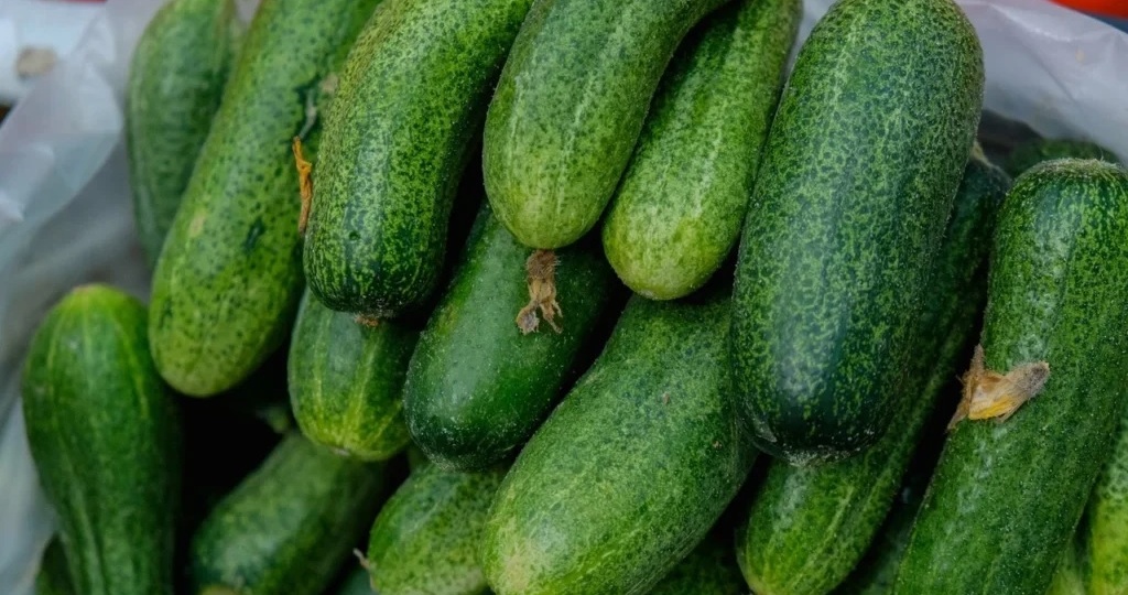 В Волгоградской области стали дешевле огурцы, но подорожали помидоры