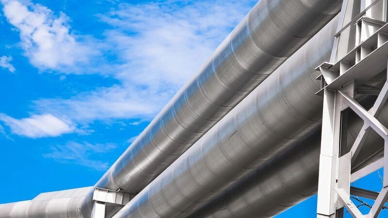    Фото: fotokaleinar/Shutterstock/Fotodom