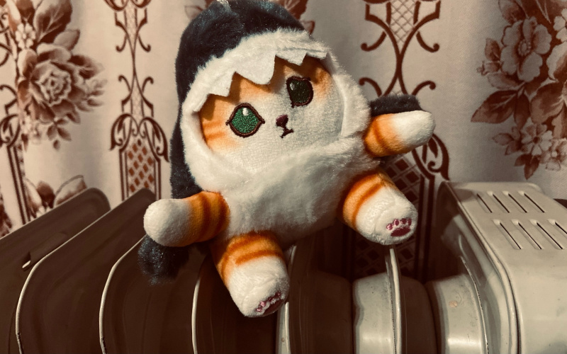    Фактор Новости