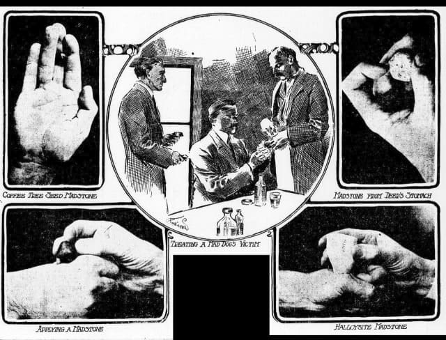 Безумный камень: древнее "лекарство" от бешенства, которое "работало"... пока в него верили