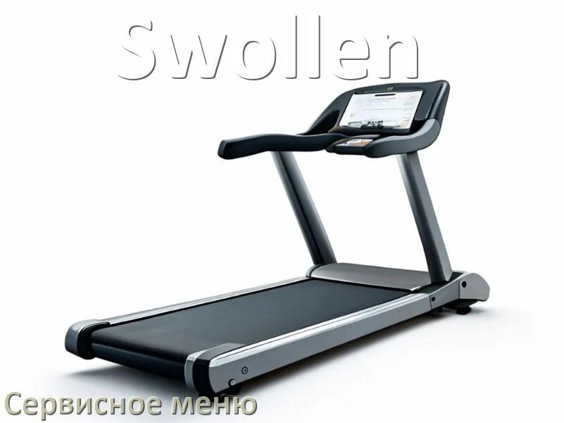 
Как зайти в сервисное меню беговой дорожки Swollen и открыть диагностический инженерный режим