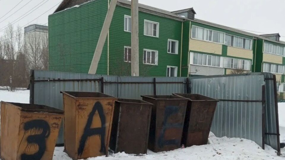 «Замусоривание» Топчихи оправдали плохой погодой и заснеженными дорогами