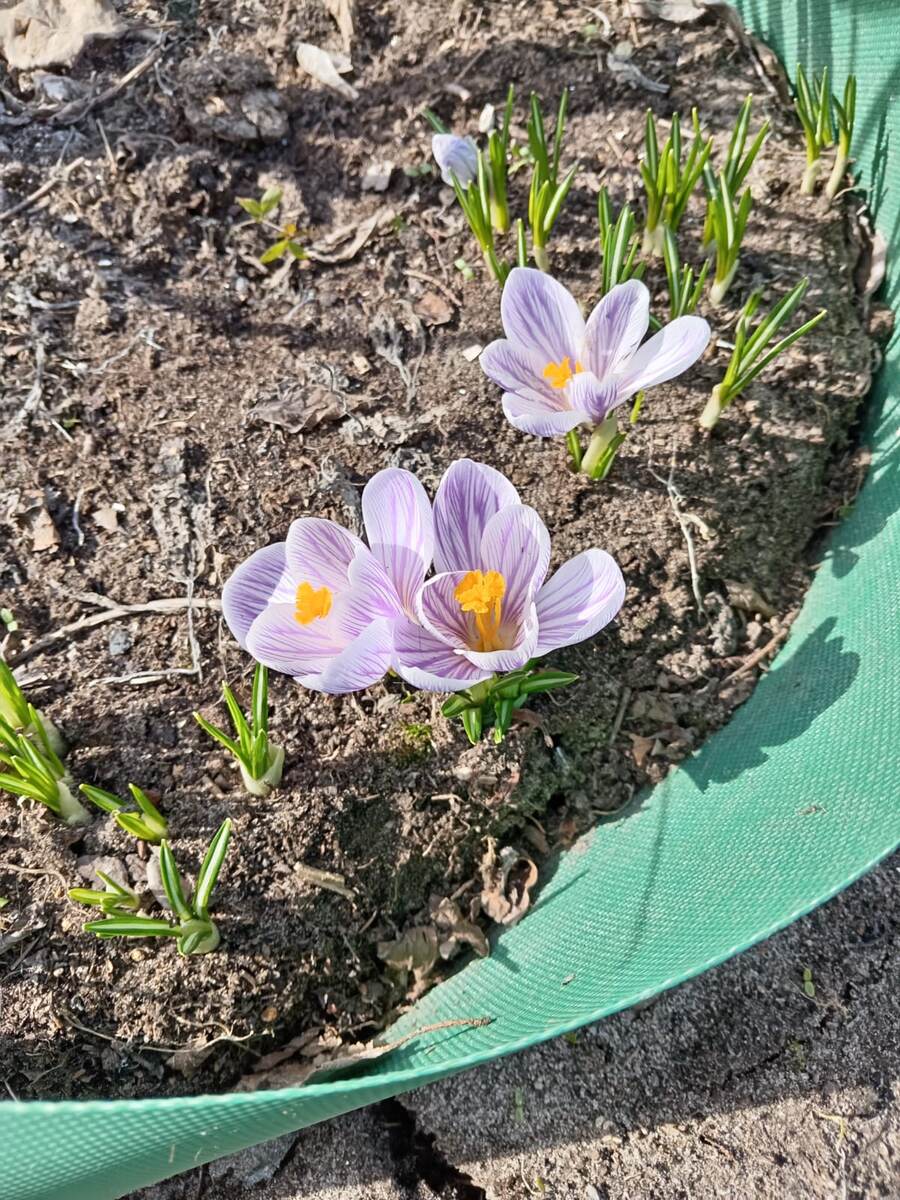 В ожидании такой красоты