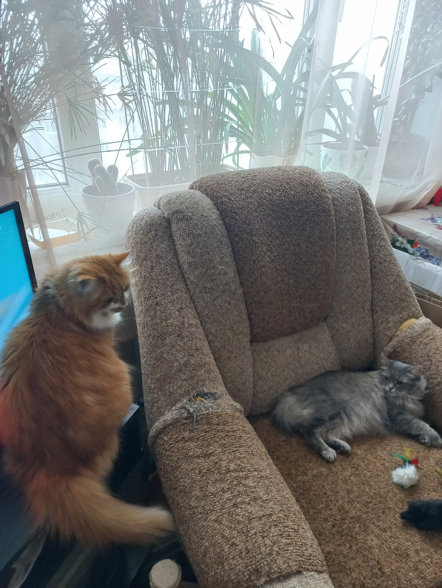 Степан и Леся