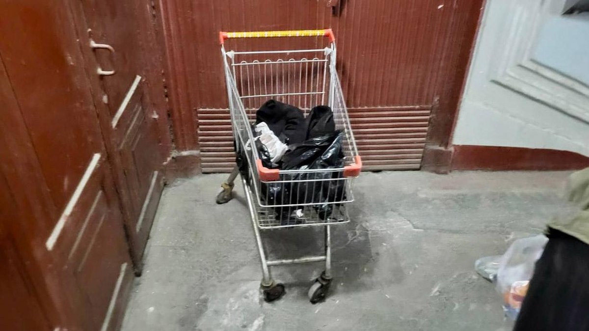 Фото: прокуратура Санкт-Петербурга