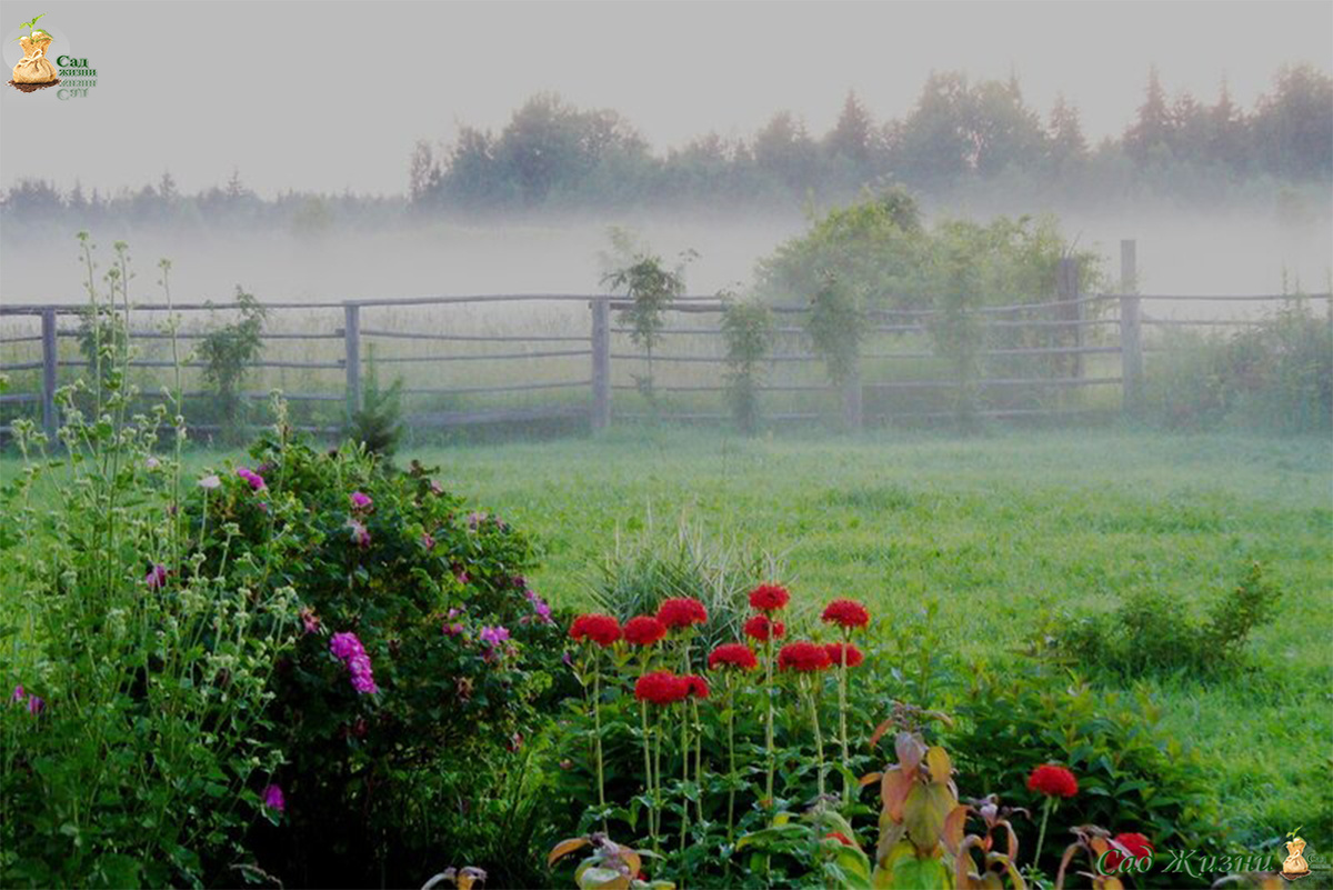 Холодный воздух стекает в низину, где растения подвержены ранним заморозкам