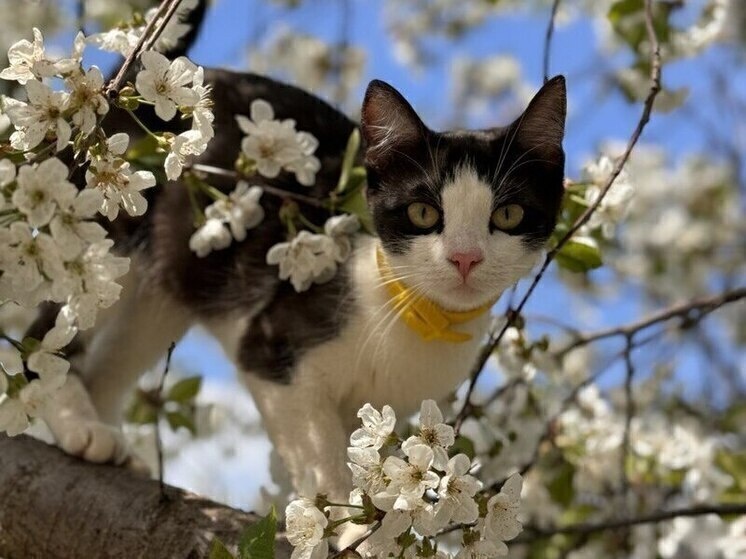     Фото: МК в Крыму