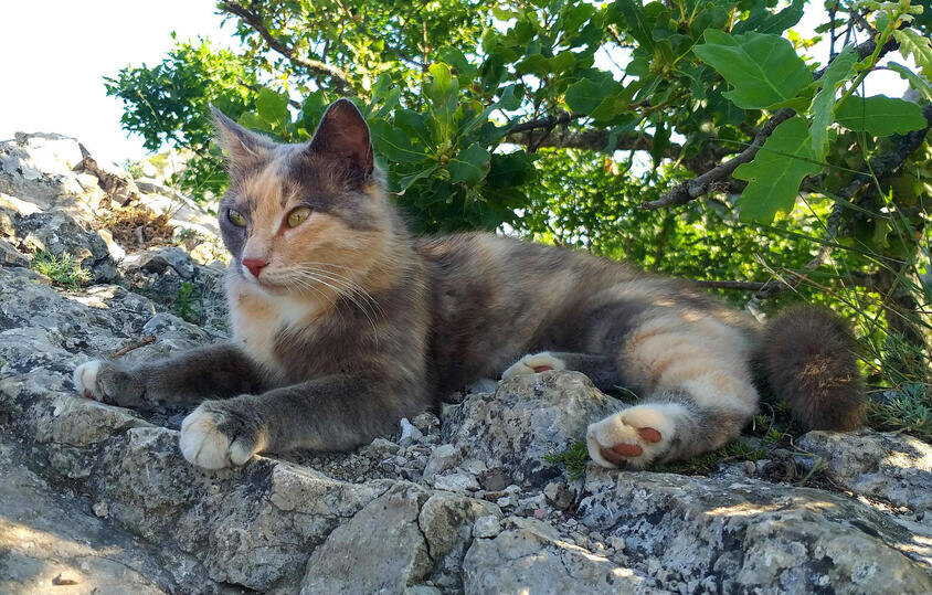     Фото: Евгений Бондаренко