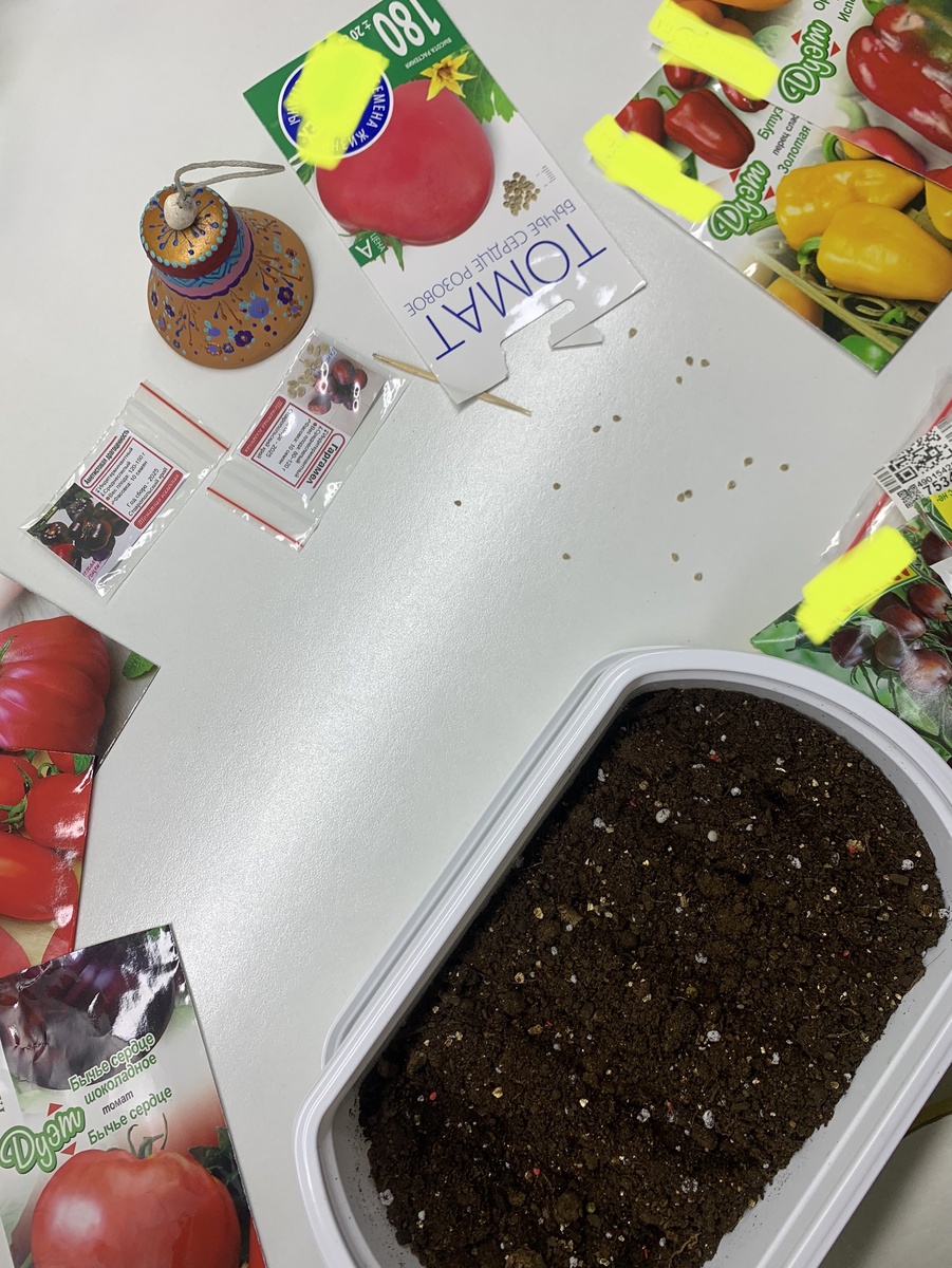 Томаты, перцы и баклажаны сею в коробочки из-под моложенного и тортов