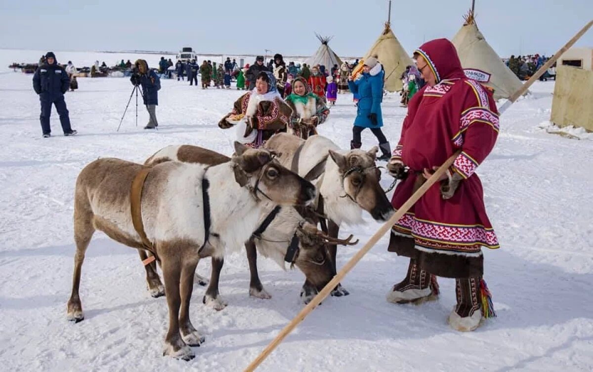    Тюменцы примут участие в Дне оленевода в Салехарде