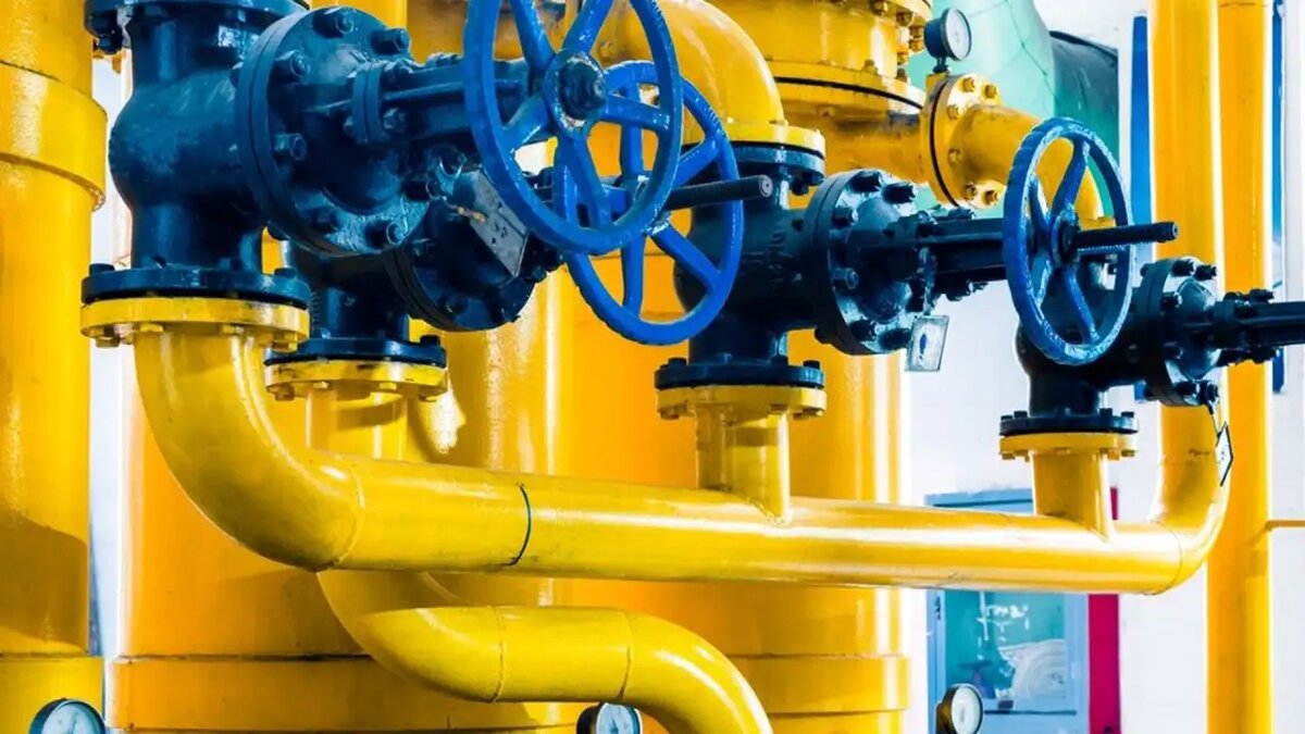     © Freepik / fanjianhua